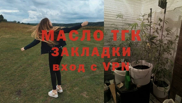индика Армянск