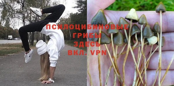 таблы Беломорск