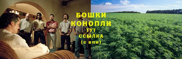 скорость Белокуриха