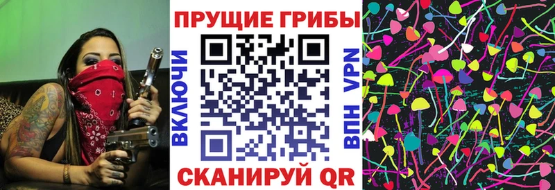 даркнет сайт  Касимов  Галлюциногенные грибы Psilocybine cubensis 